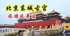 操骚货激情叫床69xx中国北京-东城古宫旅游风景区